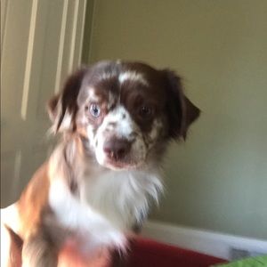 Meet your Posher, Summer